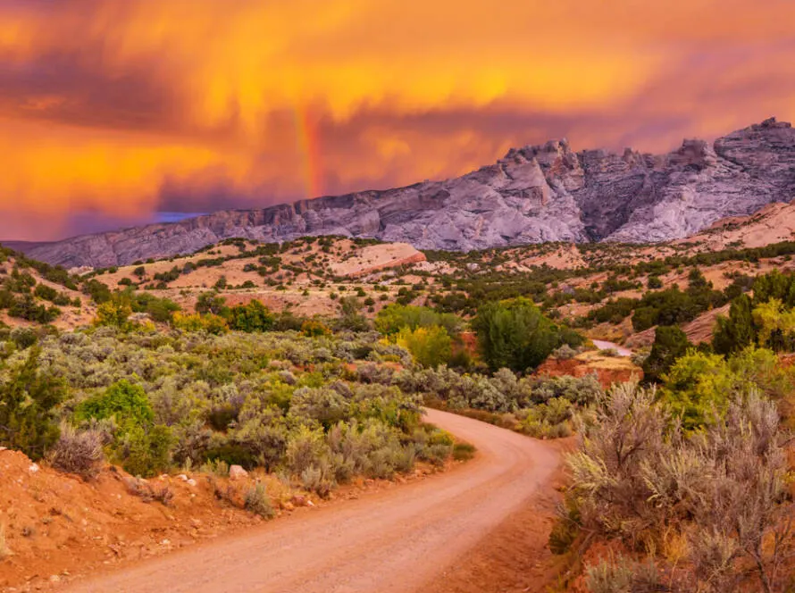 wasatch county