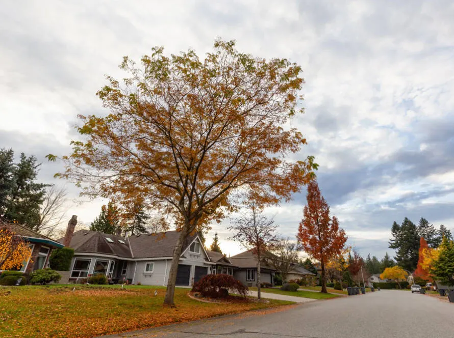 wasatch houses